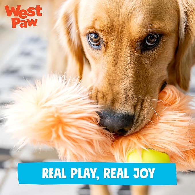 WEST PAW Rowdies Helga Durable Plush Dog Toy with Reinforced Seams Chew Resistant HardyTex Fabric and Interactive Squeaker for Safe Indoor and Outdoor Playtime Bundle for Dogs - Citrus