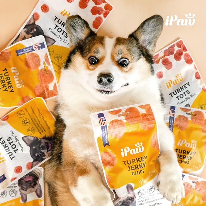 iPaw 5 Stock-Up Combo Chicken Chips Dog Treats for Puppy Training, All Natural Human Grade Dog Treat, Hypoallergenic, Easy to Digest (Chicken Chips), 5 Packs