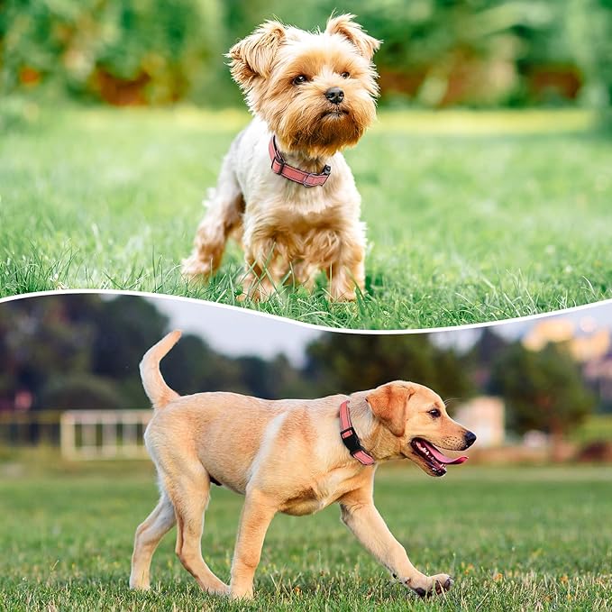 Reflective Dog Collar Padded with Soft Neoprene Breathable Quick Release Basic Dog Collars for Puppy Small Dogs Coral