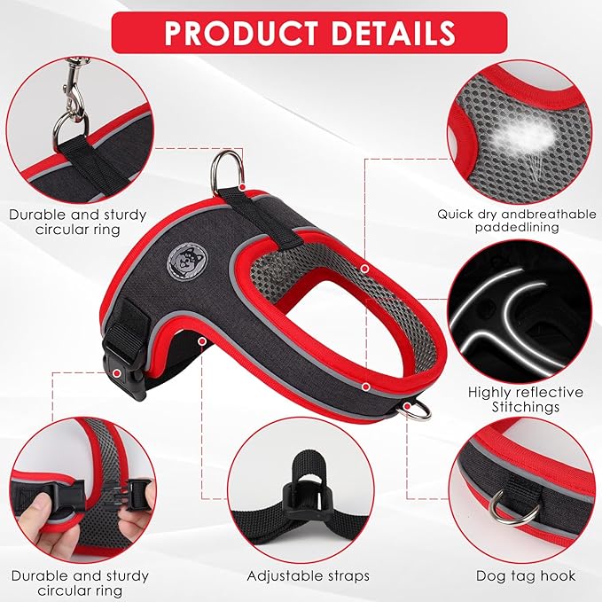 Dog Harness and Leash Set, No Pull Saddle Style Pet Harness, Breathable Mesh Adjustable Reflective Dog Vest for Dogs and Cat Medium Small Harness 2 D-Rings (Black, M)
