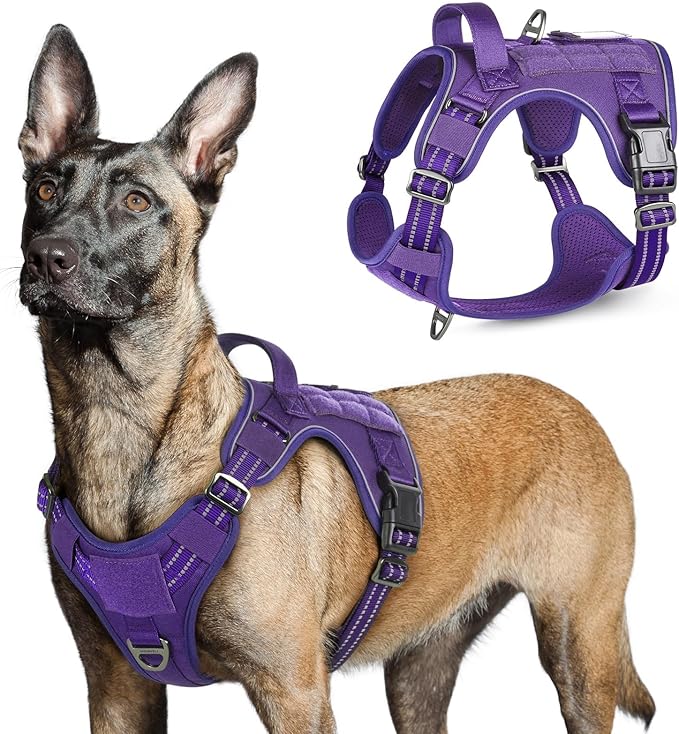 rabbitgoo Tactical Dog Harness for Large Dogs, No Pull Military Service Vest with Handle & Molle, Easy Control for Training Walking, Adjustable Reflective Straps, Purple, L