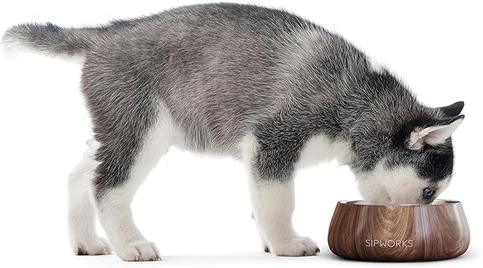Sipworks Stainless Steel Dog Bowl – 32oz Weighted Metal Food and Water Bowls for Dogs and Cats with Non-Slip Base - Pet Bowls for All Breeds Sizes for Travel & Outdoor Play | Oyster