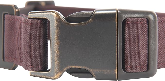 Carhartt Nylon Duck Dog Collar, Fully Adjustable Durable 2-Ply Cordura Nylon Canvas Collars for Dogs, Deep Wine, Medium