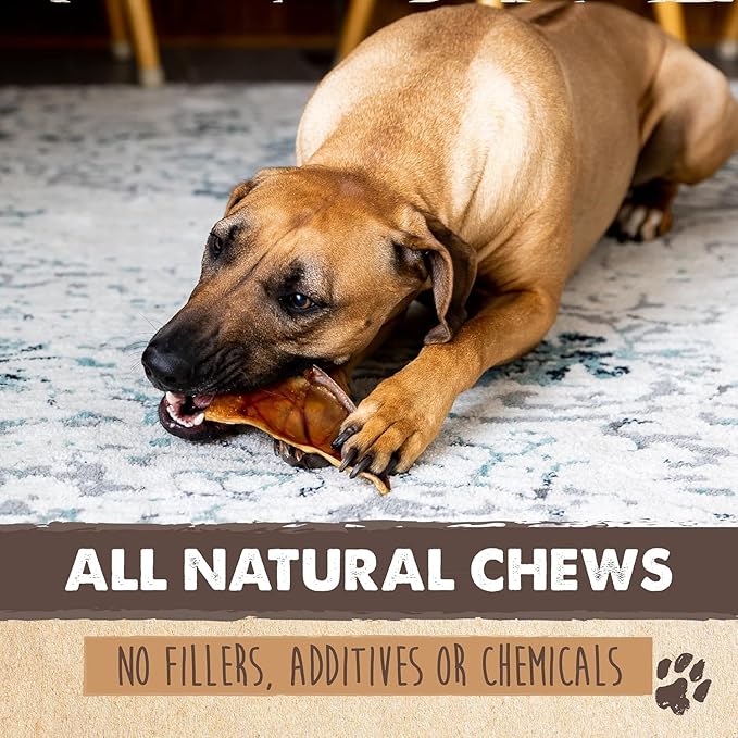 Mighty Paw Full Pig Ears for Dogs | All Natural Treats. Single Ingredient Pet Treat. Better Than Rawhide Dog Snacks for Puppy & Large/Medium Breeds. Pigs Ear Chews (12 Pack)