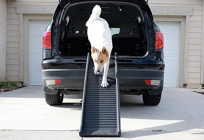 PawStep 50524 61" Portable Folding Pet Ramp, Black