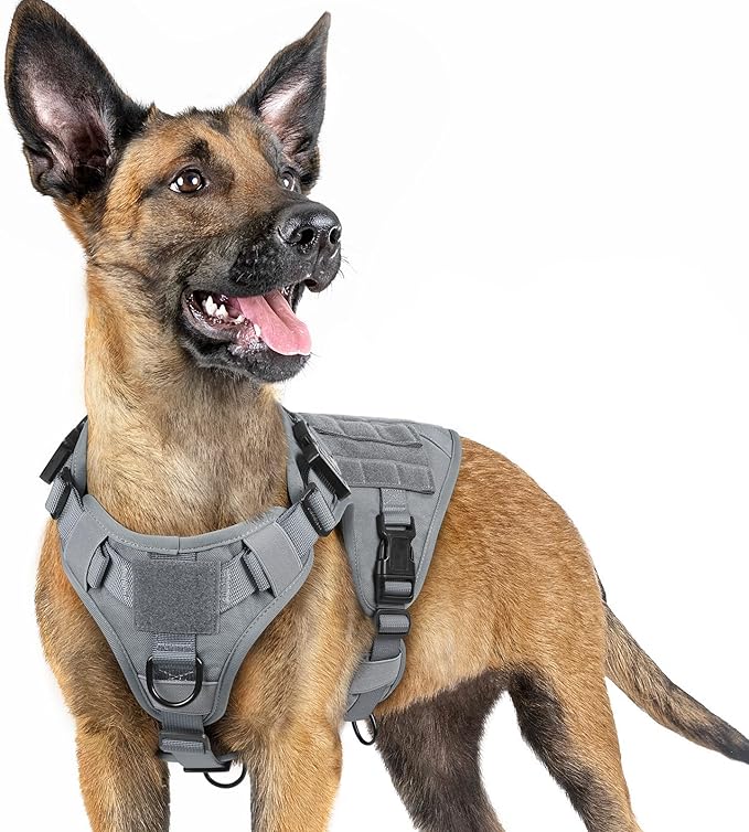 rabbitgoo Tactical Dog Harness for Small, Heavy Duty Pet Harness with Handle, No-Pull Service Vest Small Breed, Adjustable Military Dog Vest for Training Hunting Walking, Grey, S