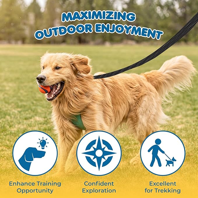 SunGrow Pet Training Leash, Heavy-Duty Polypropylene Walking Leash, 360-degree Swivel Hook, Dog/Puppy Obedience, Recall, Agility Lead, Leisure & Adventure Walking, Black, 6 feet x 0.8 inches