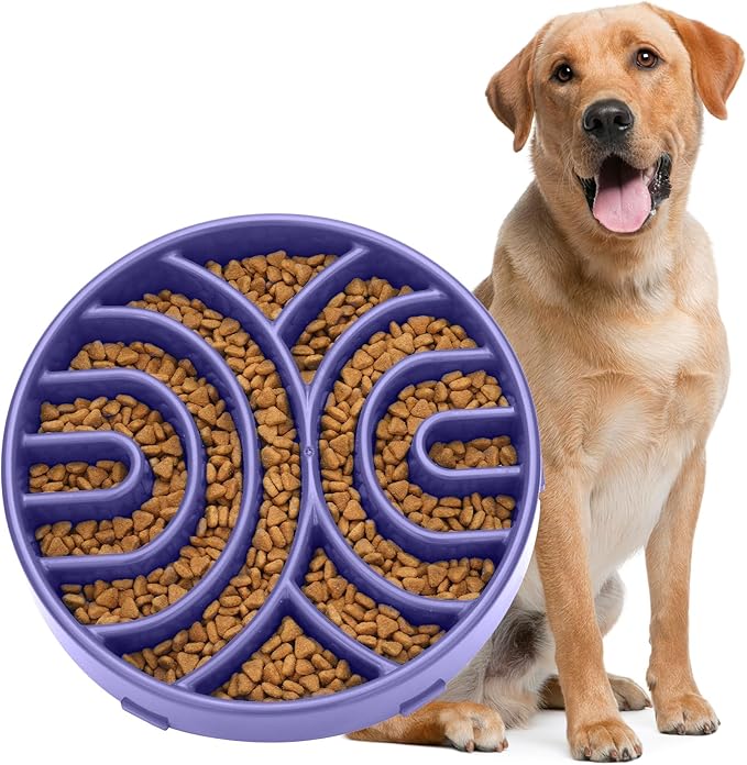 WHIPPY Slow Feeder Dog Bowl - Anti-Choking Maze, Anti-Slip Interactive Puzzle Feeder, Pet Bowl for Large Medium Dogs, Lavender