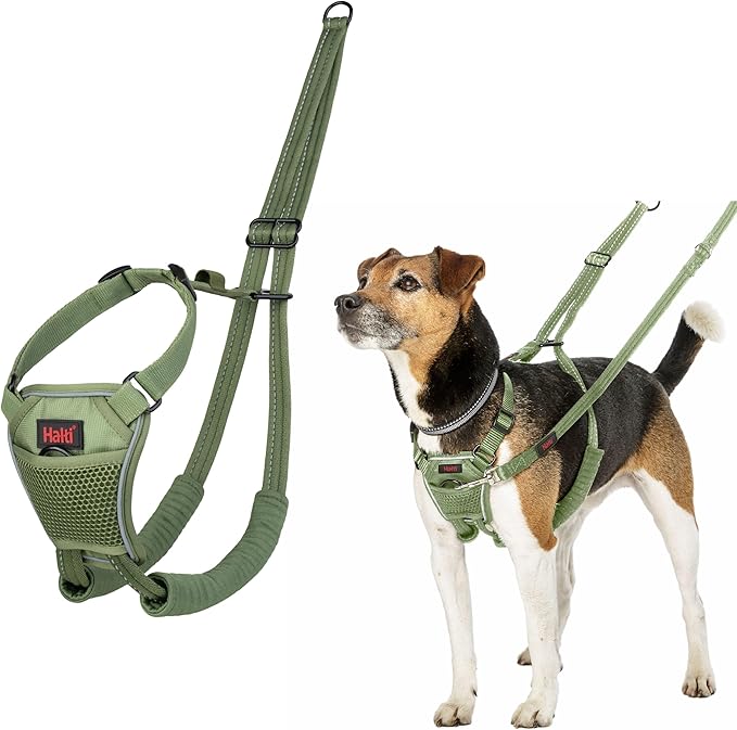 Halti No Pull Harness - Stop Your Dog Pulling on The Leash. Adjustable, Lightweight and Easy to Use. Reflective Dog Training Harness for Small Dogs (Size S, Forest Green)