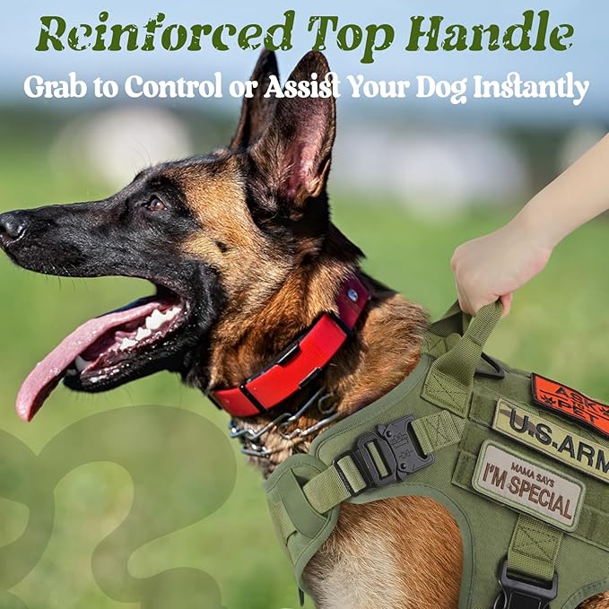 rabbitgoo Tactical Dog Harness for Small, Heavy Duty Pet Harness with Handle, No-Pull Service Vest Small Breed, Adjustable Military Dog Vest for Training Hunting Walking, Green, S