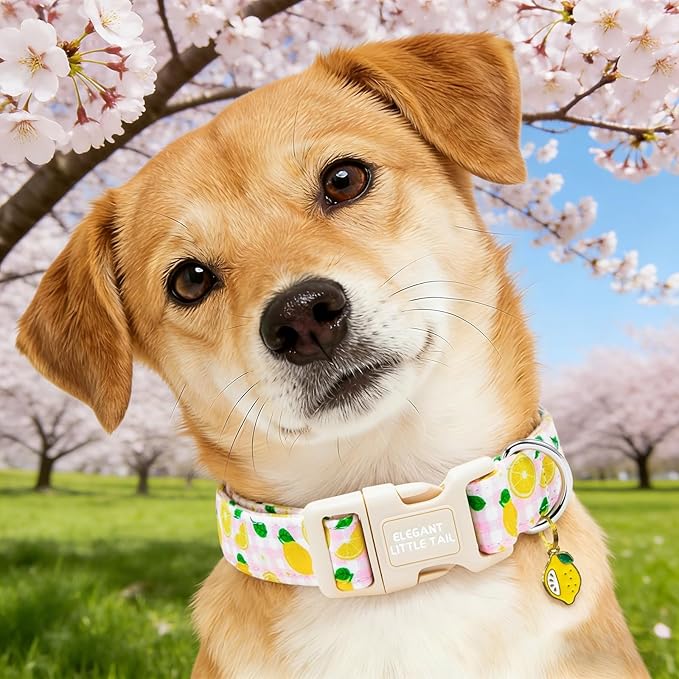 Elegant little tail Dog Collar, Pink Lemon Print Spring/Summer Soft Cotton Puppy Collars Adorable Female Pet Gift Lightweight Plastic Adjustable Dog Collar for Small Dogs