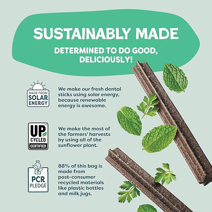 Shameless Pets Triple Mint Dental Chews for Dogs, 8 Chews - Natural Dog Teeth Cleaning Treats with Fresh Breath Benefits | Grain-Free Dental Sticks for Small, Medium & Large Dogs