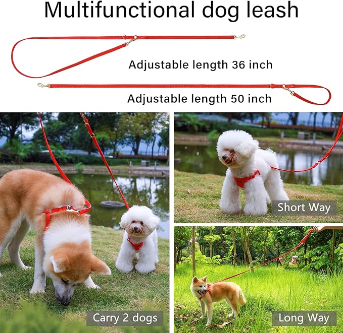 CHEDE No Pull Puppy Harness and Multifunction Dog Leash Set- 8 Colors Soft Adjustable No Choke Escape Proof Cute,Lightweight Pet Vest Harness for Small and Medium Dog (XXS, Red)