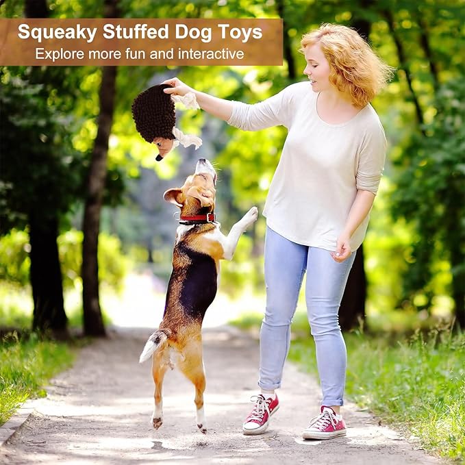 Dog Squeaky Toys for Dogs - Hedgehog Mop Plush Interactive Rope Toy, Durable Chew Toy with Squeaker and Crinkle for Small to Large Dogs, Tug of War Pet Toy for Puppies & Aggressive Chewers