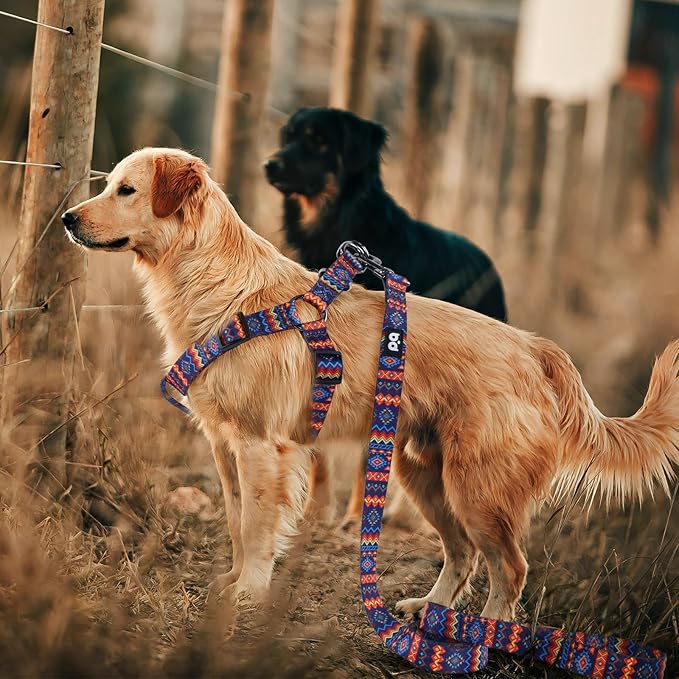 QQPETS Dog Harness Leash Set Adjustable Heavy Duty No Pull Halter Harnesses for Small Medium Large Breed Dogs Back Clip Anti-Twist Perfect for Walking