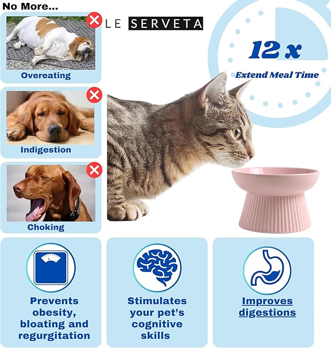 Ceramic Slow Feeder Cat Bowl, Raised Puzzle Feeder, Anti Vomiting Cat Slow Feeder, Elevated Food Bowl, Whisker Friendly Cat Bowl (Pink)