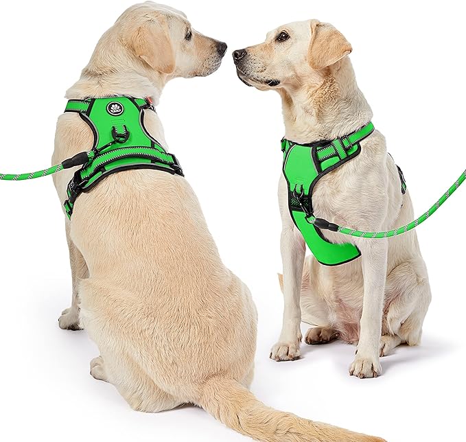 NESTROAD No Pull Dog Harness,Adjustable Oxford Dog Vest Harness with Leash,Reflective No-Choke Pet Harness with Easy Control Soft Handle for Large Dogs(X-Large,FluorescentGreen)