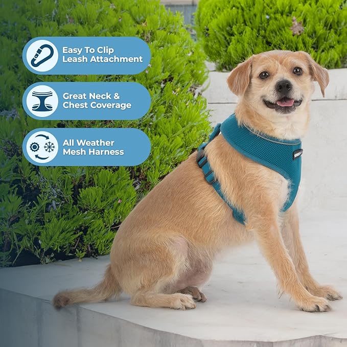 Voyager Aerolite Over The Head Dog Harness, No Pull Breathable Air Mesh Vest, Quick Dry with Reflective Stitching, Adjustable Escape Resistant Harness for Small Medium Large Dogs - Turquoise, X-Large