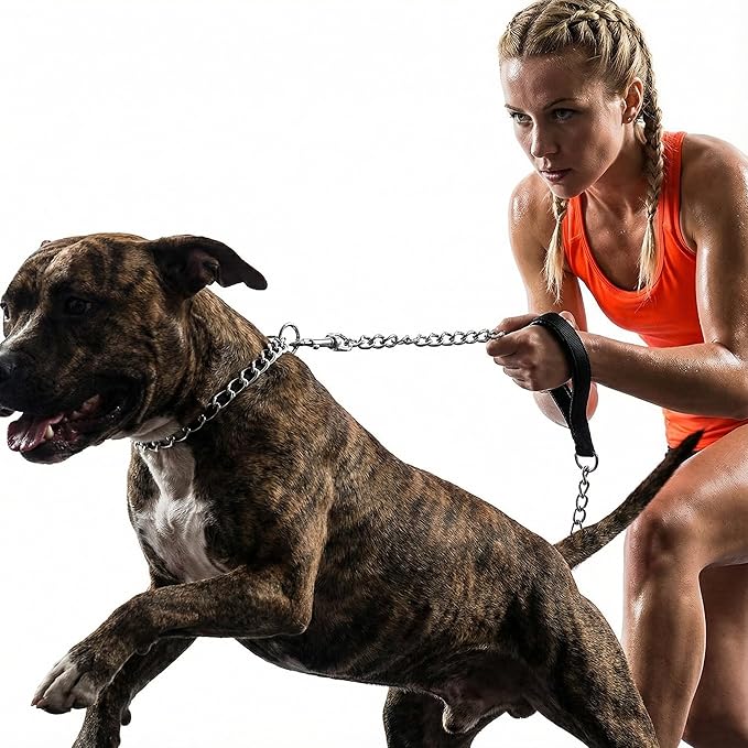CtopoGo Heavy Duty Dog Leash,Metal Dog Chain Leash with Padded Handle for Large & Medium Size Dogs (4 ft. x 3.0 mm (0-80 lbs.))
