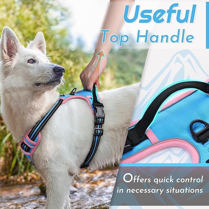 Eagloo Dog Harness Small Sized Dog, No Pull Service Vest with Reflective Strips and Control Handle, Adjustable and Comfortable for Walking, No Choke Pet Harness with 2 Metal Rings, Pink & Blue, S