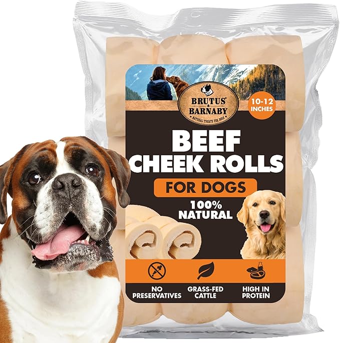 Premium Beef Cheek Rolls for Dogs 10-12" - (3-Pack) Long Lasting, Safe & Natural Rawhide Alternative Chews, Ideal for Large Dogs & Aggressive Chewers, Supports Dental Health & Digestion
