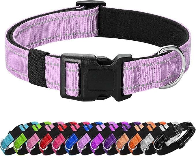 Reflective Dog Collar Padded with Soft Neoprene Breathable Quick Release Basic Dog Collars for Puppy Small Dogs Lavender