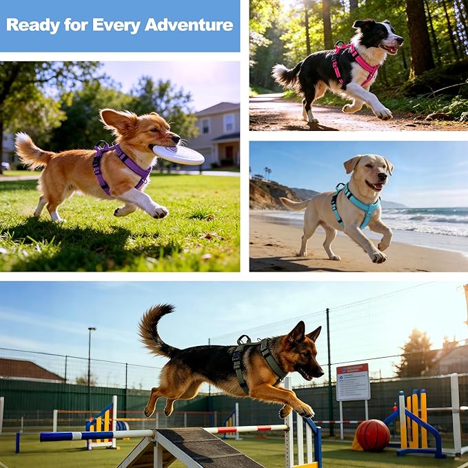 No Pull Dog Harness with Handle, Soft Mesh Padded Adjustable for Small Medium Large Dogs | Reflective Easy Walk Harness with Front Clip for Training, Running & Outdoor (Orange, S)