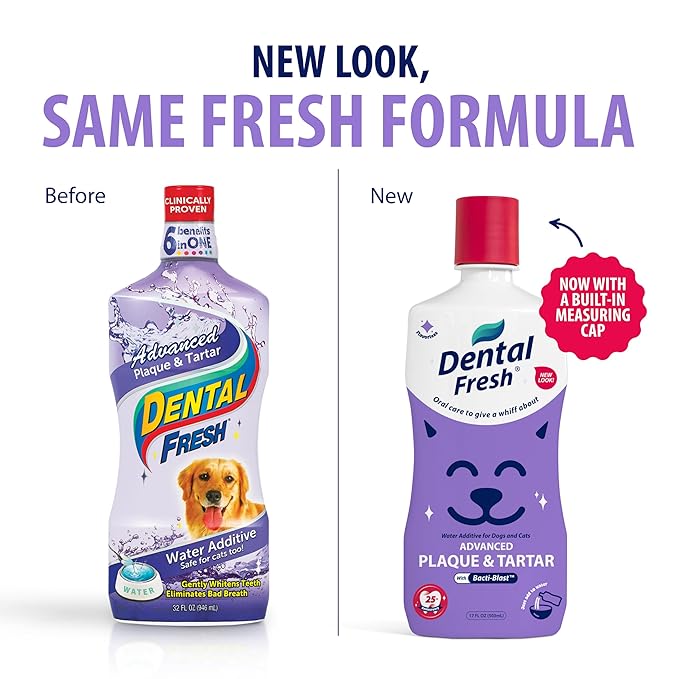 Dental Fresh Water Additive for Dogs and Cats, Advanced Formula, 8 Fl Oz, Plaque & Tartar Daily Oral Care