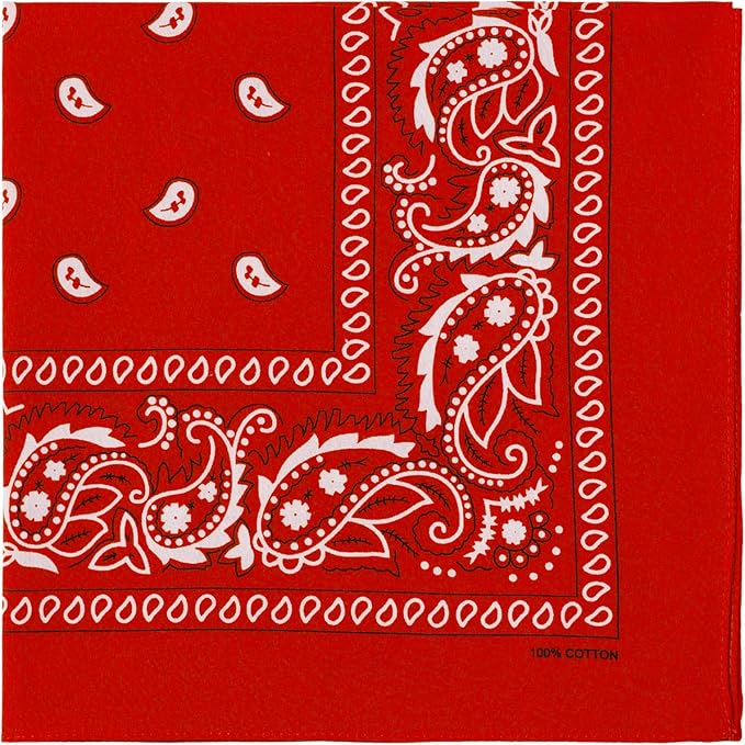 combocube 12 Pack(one Dozen) Multi-Purpose Cotton Paisley Cowboy Bandanas Headband for Men and Women