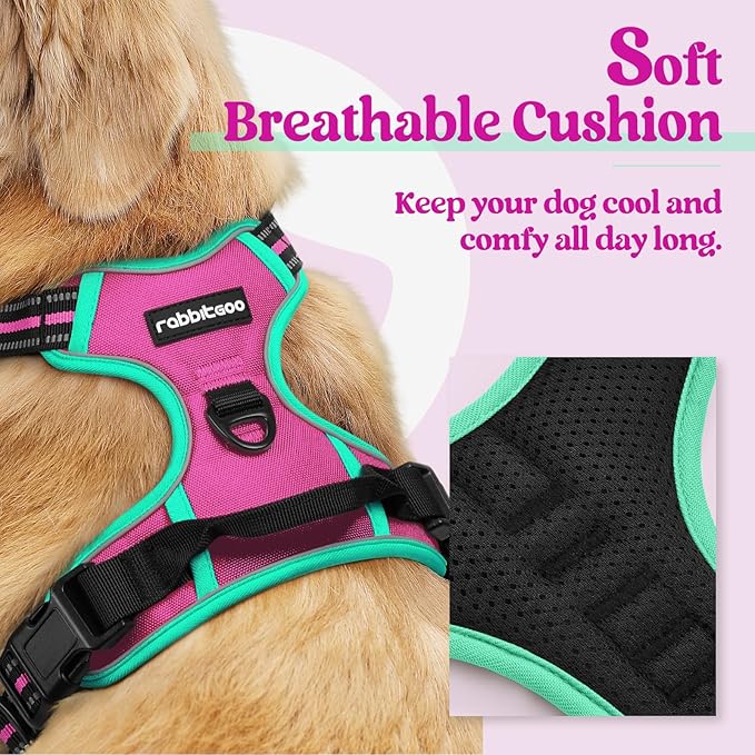 rabbitgoo Dog Harness No Pull with 2 Leash Clips, Adjustable Soft Padded, Reflective Oxford No Choke Pet Vest with Easy Control Handle for Large Dogs, Hot Pink & Turquoise, XL