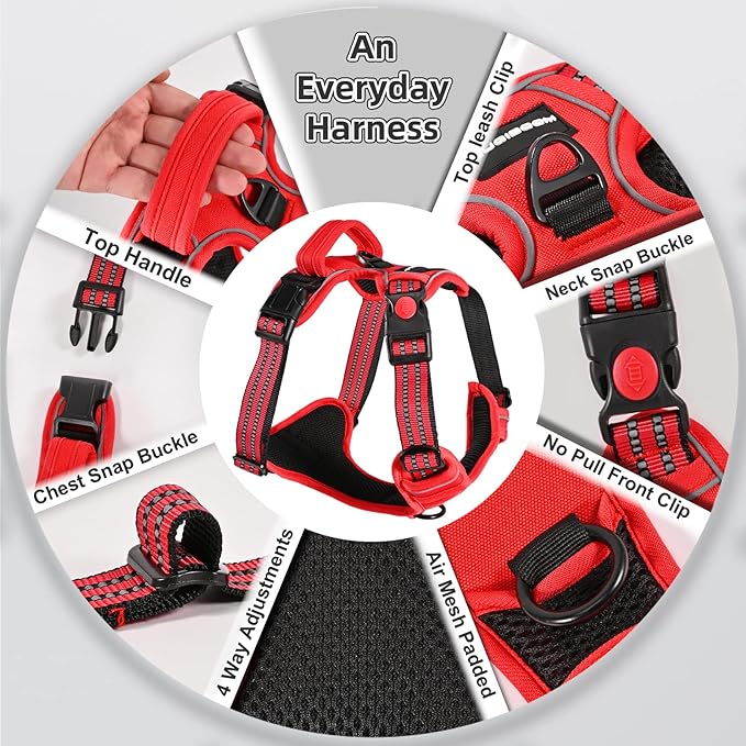 No Pull Dog Harness with A Free Heavy Duty 5ft Dog Leash, Adjustable Soft Padded Dog Vest, Reflective No-Choke Pet Oxford Vest with Easy Control Handle for Small and Large Dogs (Red, Small)