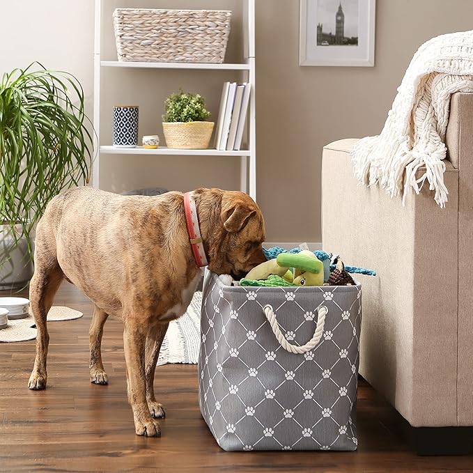 Bone Dry Pet Storage Paw and Bone, Trellis Collection, Large Rectangle, 17.5x12x15 Gray
