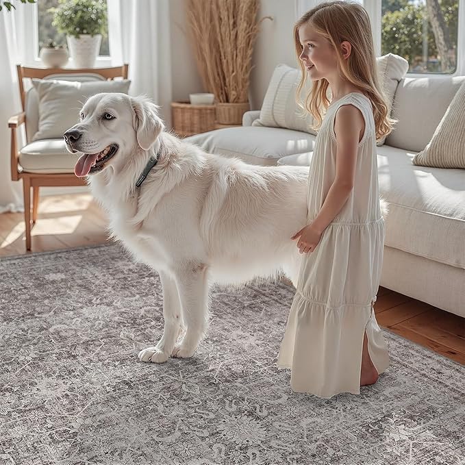 DCX Gray 9x12 Rug, Kid & Pet Friendly with Rubber Back Non Slip, Machine Washable Stain Resistant Vintage Traditional Distressed Carpet, Rug for Living Room, Bedroom, Home Decor