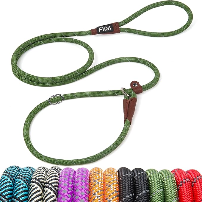 Fida Durable Slip Lead Dog Leash, 6 FT x 3/8" Heavy Duty Dog Loop Leash, Comfortable Strong Rope Slip Leash for Small Dogs and Puppies, No Pull Pet Training Leash with Highly Reflective(3/8", Green)
