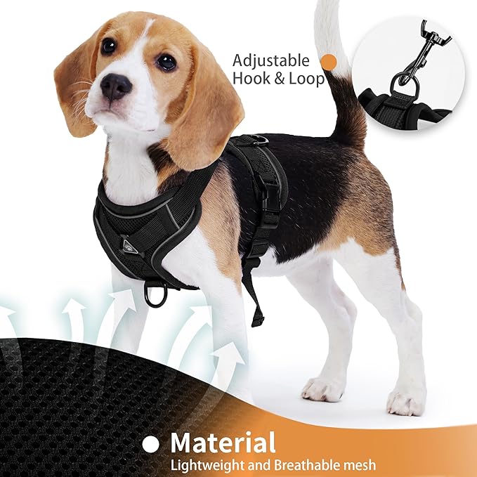 No Pull Dog Harness with Leash Set for Small Sized Dog, Reflective Adjustable No Choke Front Clip Cat Vest Harness with Breathable Mesh, Comfortable Soft Padded Pet Vest, Black M