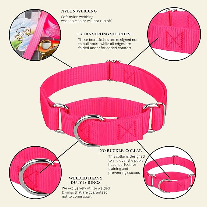 Country Brook Petz - Martingale Dog Collar - Heavy-Duty Training Collar with No Buckle - Service Dog Collar for All Pups - 10+ Warm Colors (Hot Pink, 3/8 Inch, 2XS)