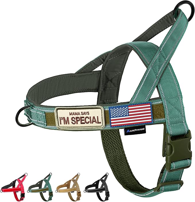 Annchwool No Pull Dog Harness with Soft Padded Handle-Reflective Strip Escape Proof and Quick Fit to Adjust Dog Harness-Easy for Training Walking for Small & Medium and Large Dogs(Green,XS,1 In Width)