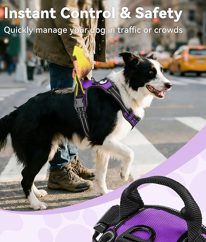 Joytale No Pull Dog Harness for Extra Large Dogs, Reflective Pet Vest with Front Clip, Adjustable Soft Padded Harnesses with Easy Control Handle for Training and Walking, Purple, XL