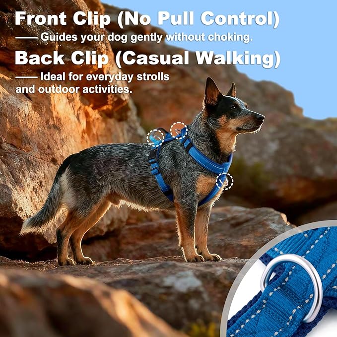 No Pull Dog Harness with Handle, Soft Mesh Padded Adjustable for Small Medium Large Dogs | Reflective Easy Walk Harness with Front Clip for Training, Running & Outdoor (Royal Blue, S)