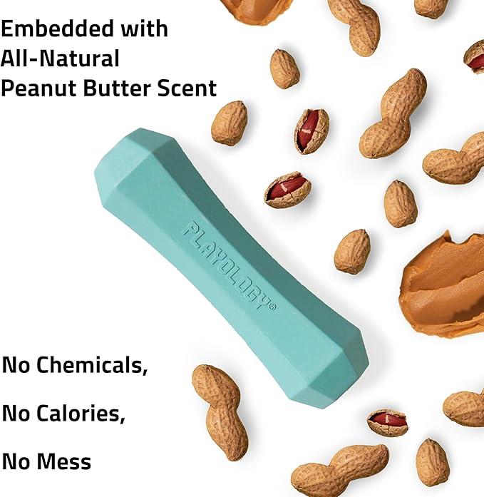 Playology Dog Toys | Durable Squeaky Chew Stick for Dogs (Value 2-Pack) | Medium Peanut Butter Scented Toy - Easy to Clean and Made from Non Toxic Materials