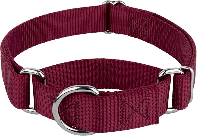 Country Brook Petz - Martingale Dog Collar - Heavy-Duty Training Collar with No Buckle - Service Dog Collar for All Pups - 10+ Warm Colors (Burgundy, 3/8 Inch, 2XS)