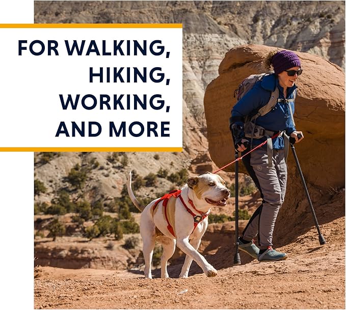 Ruffwear, Web Master, Multi-Use Support Dog Harness, Hiking and Trail Running, Service and Working, Everyday Wear, Red Sumac, Small