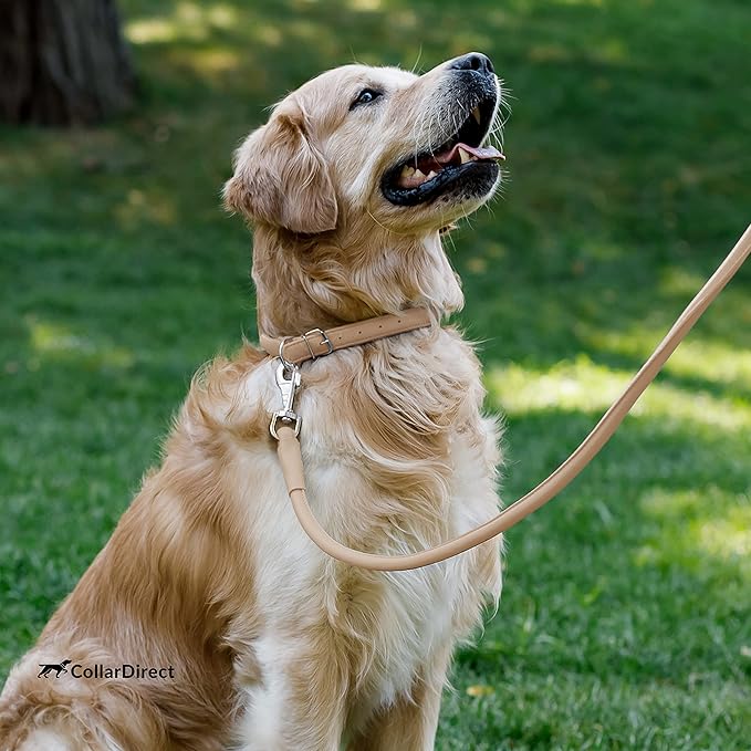 CollarDirect Rolled Leather Dog Collar, Soft Padded Round Puppy Collar, Handmade Genuine Leather Collar Dog Small Large Cat Collars 13 Colors (11-14 Inch, Beige Textured)
