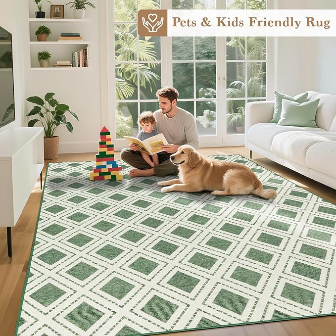 LBRO2M Checkered 9X12 Area Rug for Living Room Washable Rugs for Bedroom Dining Room Non Slip Modern Rugs Easy Clean, Soft, Stain Resistant Carpet Great for Pets and Family (9'X12' Green)