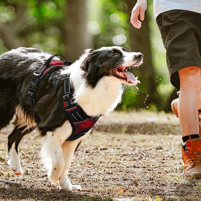rabbitgoo Dog Harness No Pull with 2 Leash Clips, Adjustable Soft Padded, Reflective Oxford No Choke Pet Vest with Easy Control Handle for Large Dogs, Red Plaid, L