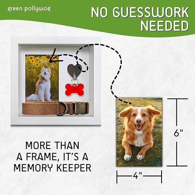 Green Pollywog Pet Memorial Shadowbox with Photo, Tag & Collar Display | White Frame with 4” x 6” Picture Opening | 10” x 10” x 2.5” Keepsake Box