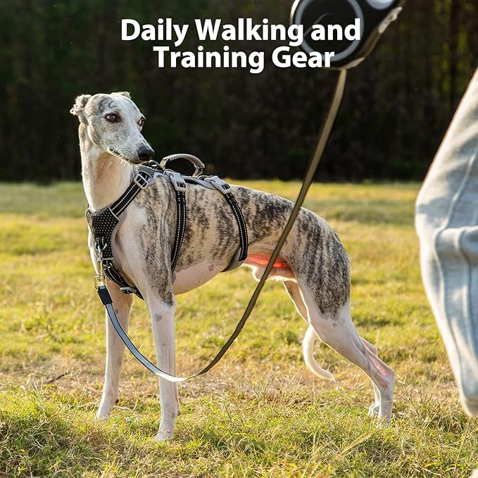 Huntboo Escape Proof Harness, No Slip Dog Harness Escape Proof, Fully Reflective Harness with Handle, Breathable, Durable, Adjustable Vest for Medium Dogs Walking and Training Gear (Black, M)