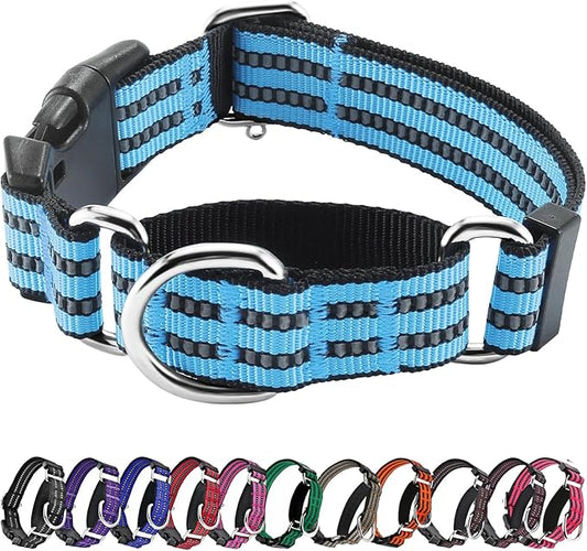 Hikiko Martingale Dog Collars Reflective Nylon Dog Collar with Quick Release Buckle Adjustable Training No Slip Dog Collar (Medium, Light Blue)