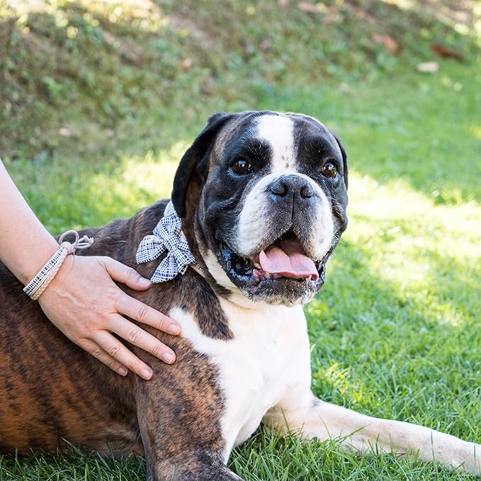 Pettsie Dog Bow Tie Collar with Matching Friendship Bracelet – Adjustable, Durable Hemp & Soft Cotton, Stylish & Comfortable for Sensitive Skin, Elegant Gift Box, Small, Dark Blue
