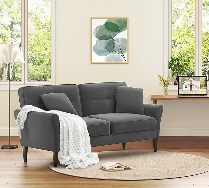 69" Loveseat Sofa, Velvet Small Couches for Small Spaces, Love Seat Couches with 2 Pillows, Tool-Free Setup Loveseats, 700lb Load Sofas for Living Room, Mini Couch for Bedroom, Comfy Sofa Couch, Grey
